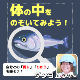 人と魚は同じ？ちがう？なるほど！びっくり！体のつくり イメージ